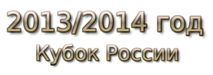 2013-2014 god Кубок России