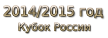 2014-2015 god Кубок России