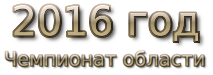 2016 god. Чемпионат области